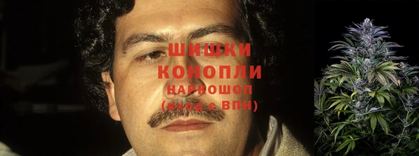 ешки Алексин