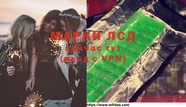 ПСИЛОЦИБИНОВЫЕ ГРИБЫ Алзамай
