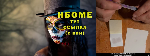 ПСИЛОЦИБИНОВЫЕ ГРИБЫ Алзамай