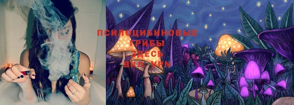 ПСИЛОЦИБИНОВЫЕ ГРИБЫ Алзамай