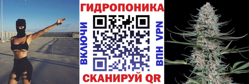 Бошки марихуана Ganja  дарк нет как зайти  Далматово  hydra зеркало 
